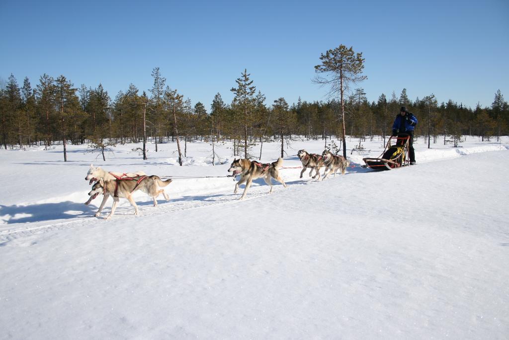 Loma-Vietonen Holiday Village Meltosjarvi Bagian luar foto